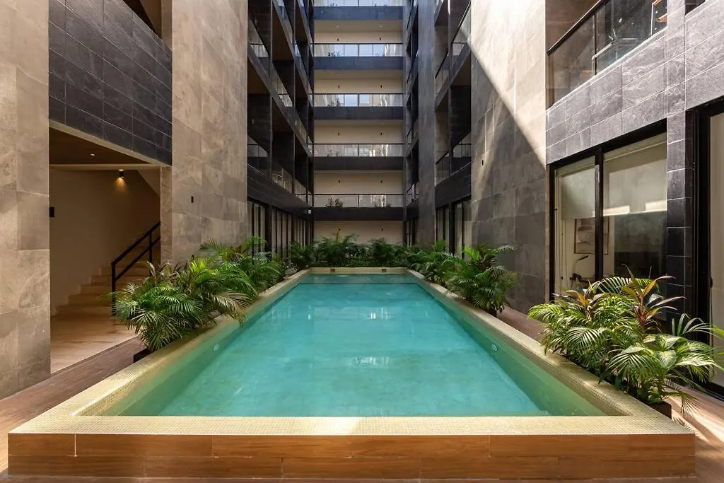 아파트 Musa Del Carmen 516 Ocean View 신데 델 카르멘 멕시코